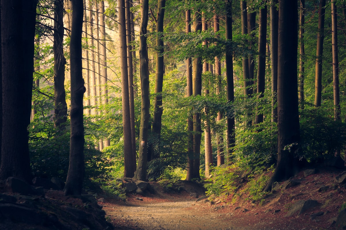 Licencovaní sprievodcovia CarpathianGuide pri exkurzii na Spiši